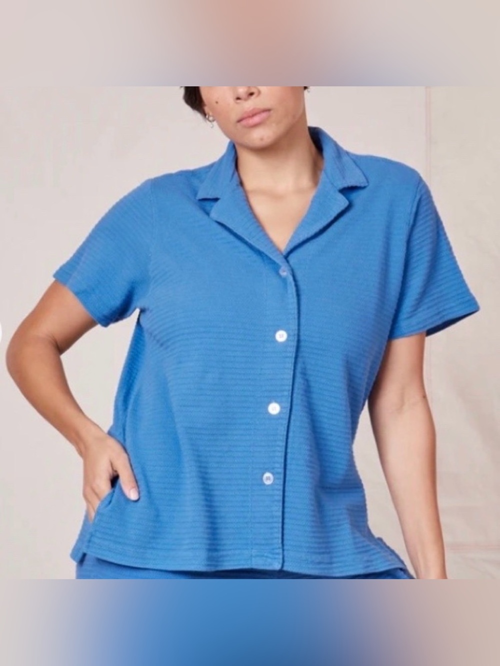 Big Bud Press blue honeycomb pantry button up made in USA